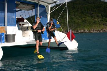 caribbean diving platform image