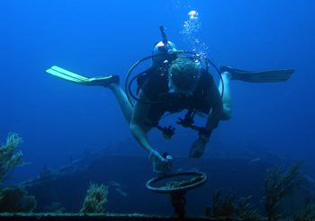 scuba diving on ship wreck in the grenadines caribbean diving wreck image