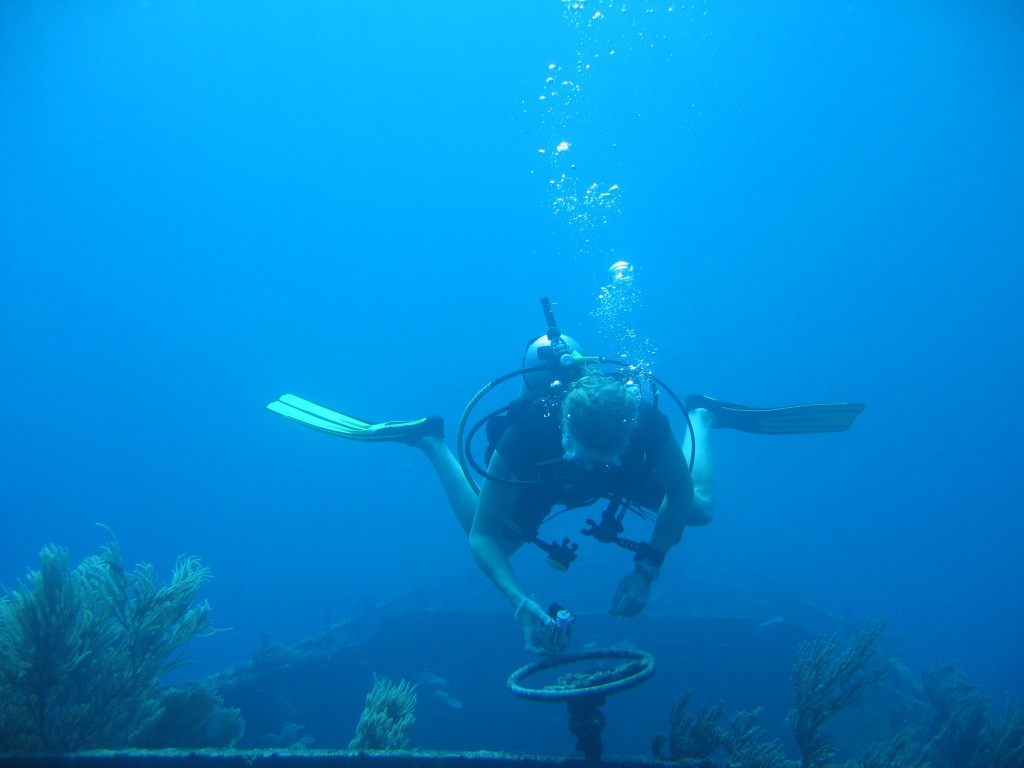 Mustique - Diving 23