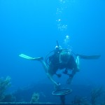 Mustique - Diving 23