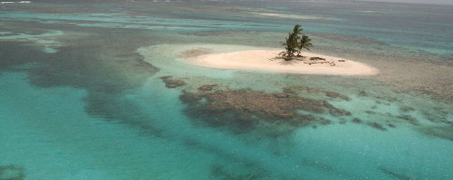 coco palm island