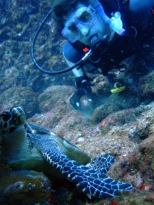 caribbean-diving-turtle scuba diving with turtle