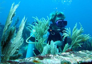 scuba diving holidays