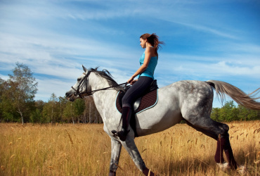 Girl on a horse