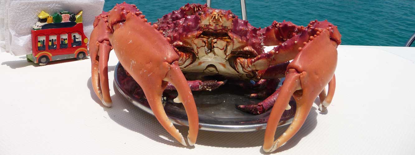 crab-san-blas